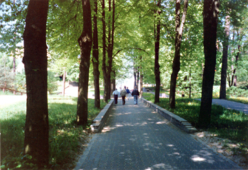 Approach to mass grave in Zagare