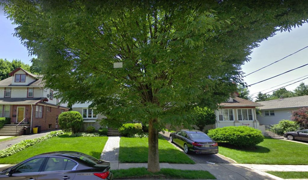 A In 2019 a big tree blocks the view of our childhood home in Teaneck, NJ.