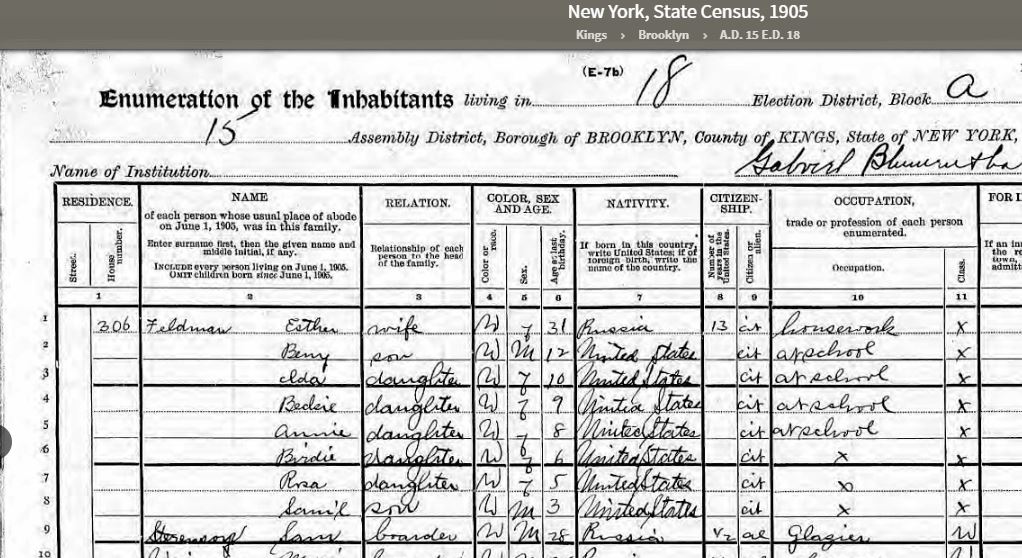 1905 Census Report wih Sam Sterenoz
