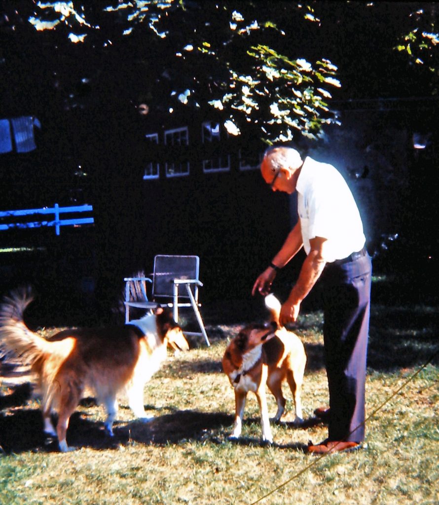 Bernie with his dog and grand-dog, 1972