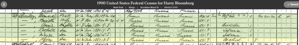 1910 census for Yetta Blumberg's family