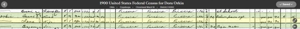 1900 Census Record for Orkin Family
