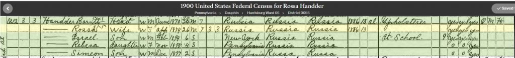 1900 Census for Rose Lily's family