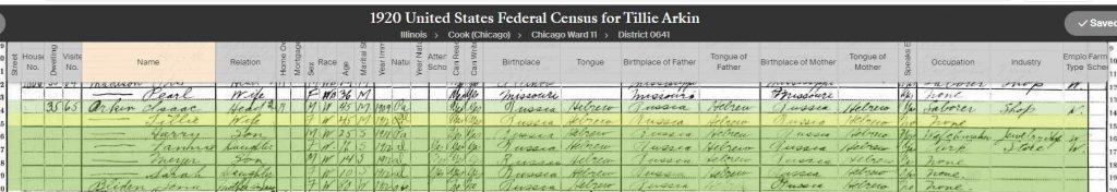 1920 Census Record for Tillie ORkin