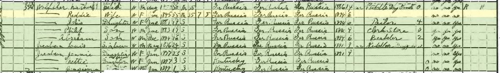 1900 US Census for Frieda Wolfson