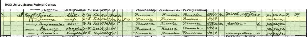 1900 US Census for Jennie Tort