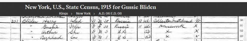 1915 Census for Gussie and Harvey