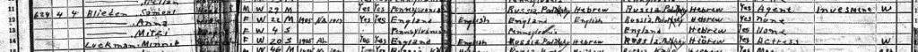 1920 Census for Samuel T. Blieden