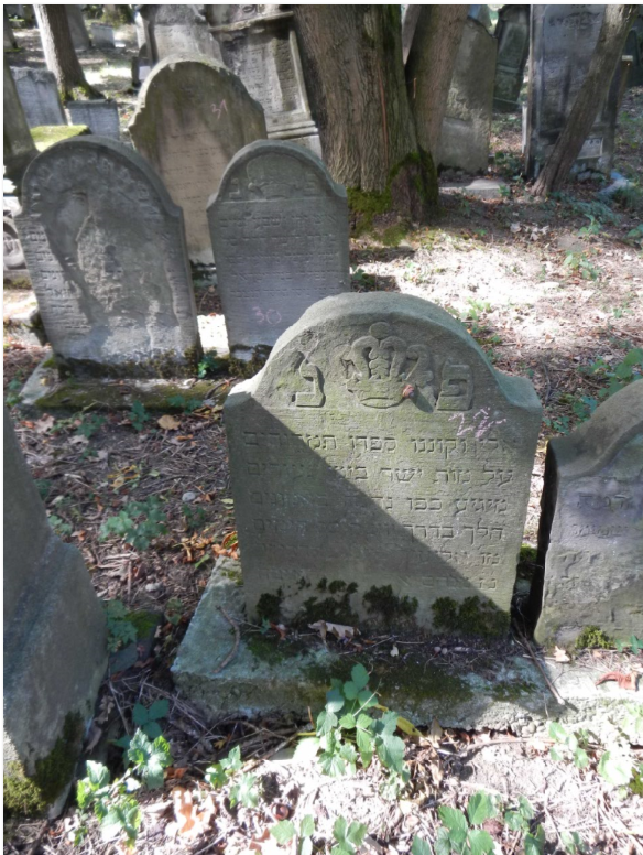 Tombstone of Jochene Wosnitzer - found in the Tarnow Cemetery