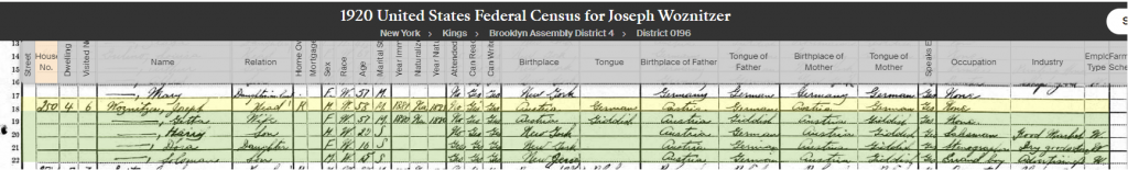 1920 Census for Joseph Wosnitzer