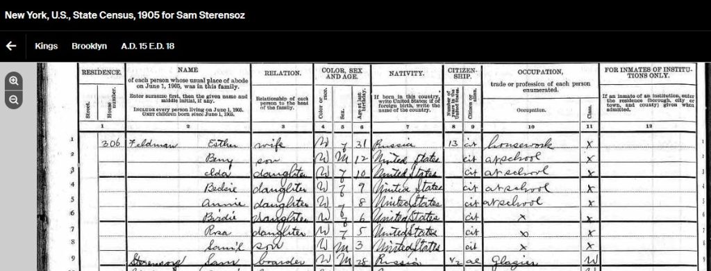 1905 NY State census for Sam
