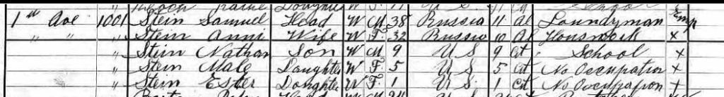 1915 NY State Census for Sam