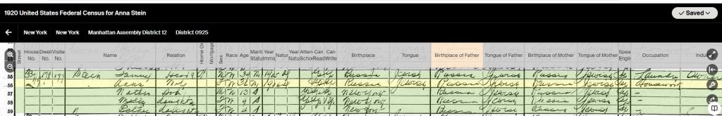 1920 Federal Census for Sam