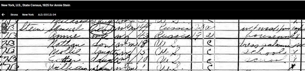 1925 NY State Census for Sam