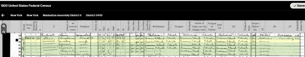 1920 Federal Census for Abe and Bertha Stein